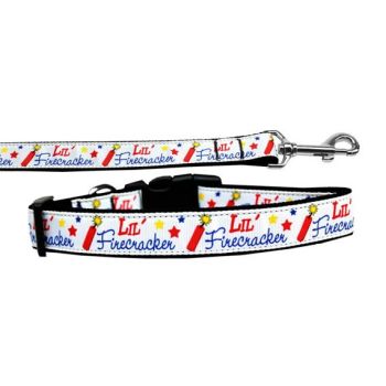 Pet Dog & Cat Nylon Collar or Leash, "Lil' Firecracker"