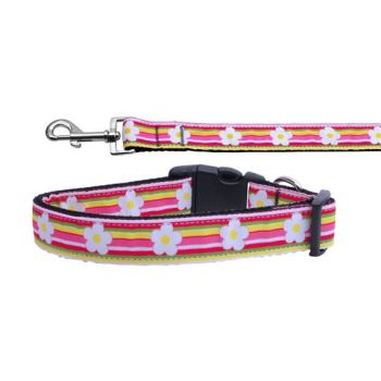 Pet Dog & Cat Nylon Collar or Leash, "Striped Daisy"