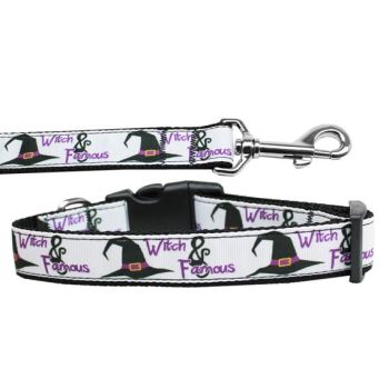 Halloween Pet Dog & Cat Nylon Collar or Leash, "Witch and Famous"