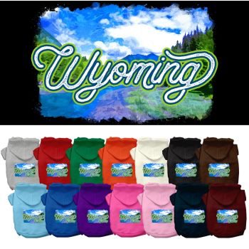 Pet Dog & Cat Screen Printed Hoodie for Medium to Large Pets (Sizes 2XL-6XL), "Wyoming Summer"