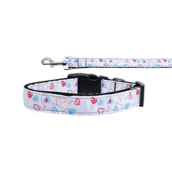 Pet Dog & Cat Nylon Collar or Leash, "Patriotic Crazy Hearts"