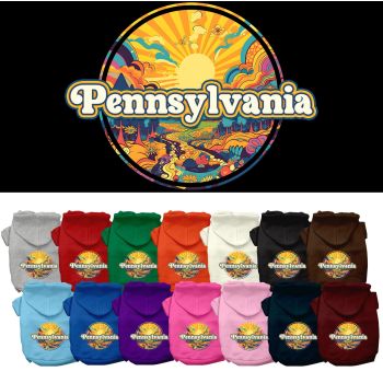 Pet Dog & Cat Screen Printed Hoodie for Medium to Large Pets (Sizes 2XL-6XL), "Pennsylvania Trippy Peaks"